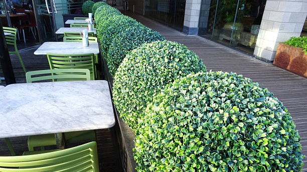 Outdoor Artificial Plants Outdoor Fake Plants